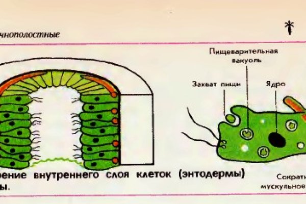 Зайти на кракен без тора