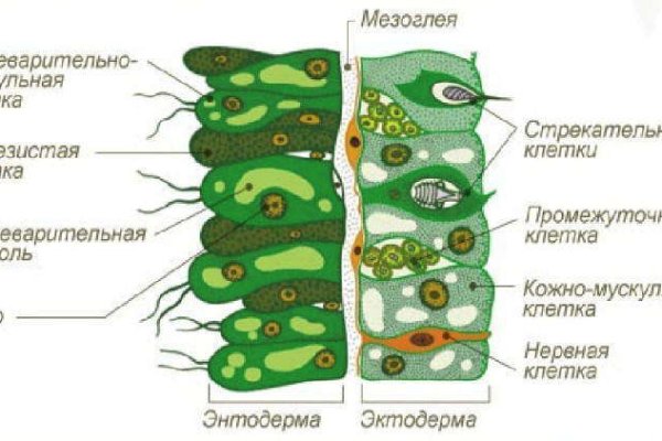 Почему не получается зайти на кракен